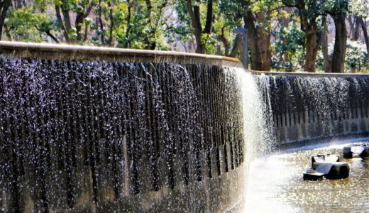 コロナ禍のお勧めデートスポット：新宿中央公園